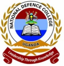 NDC Logo