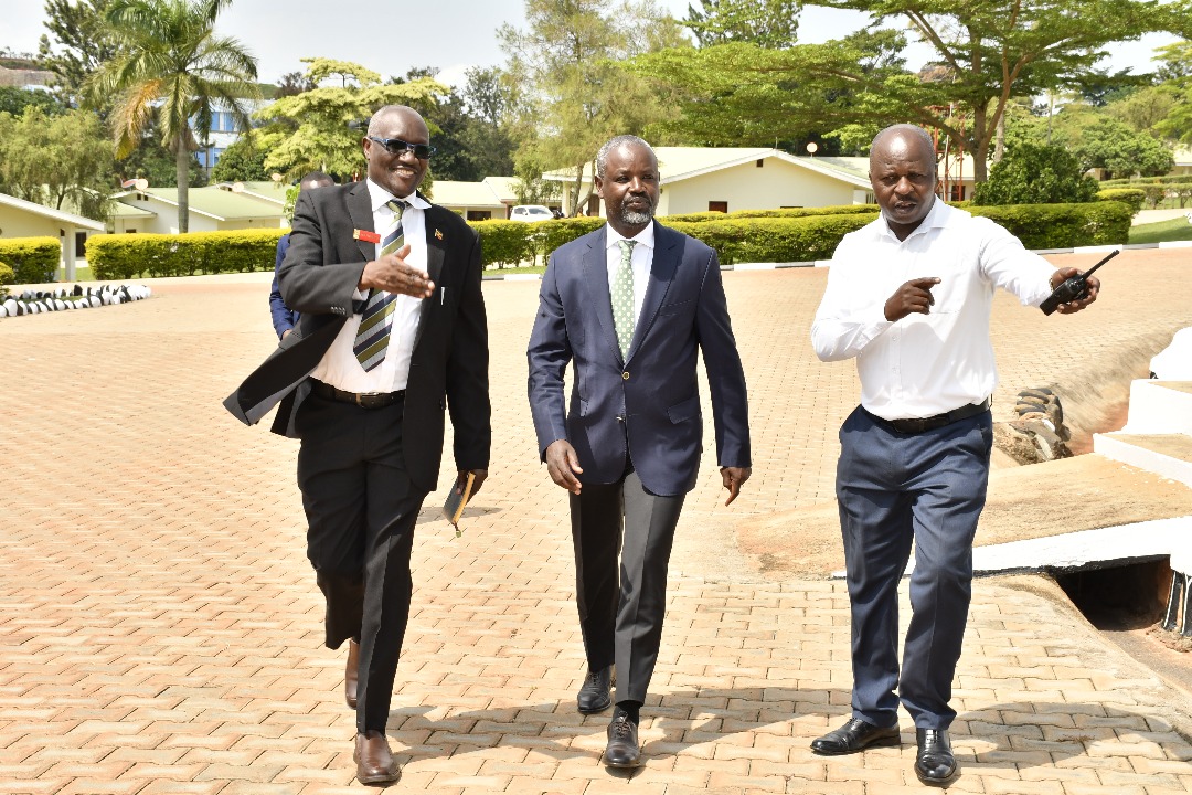 NDC at glance